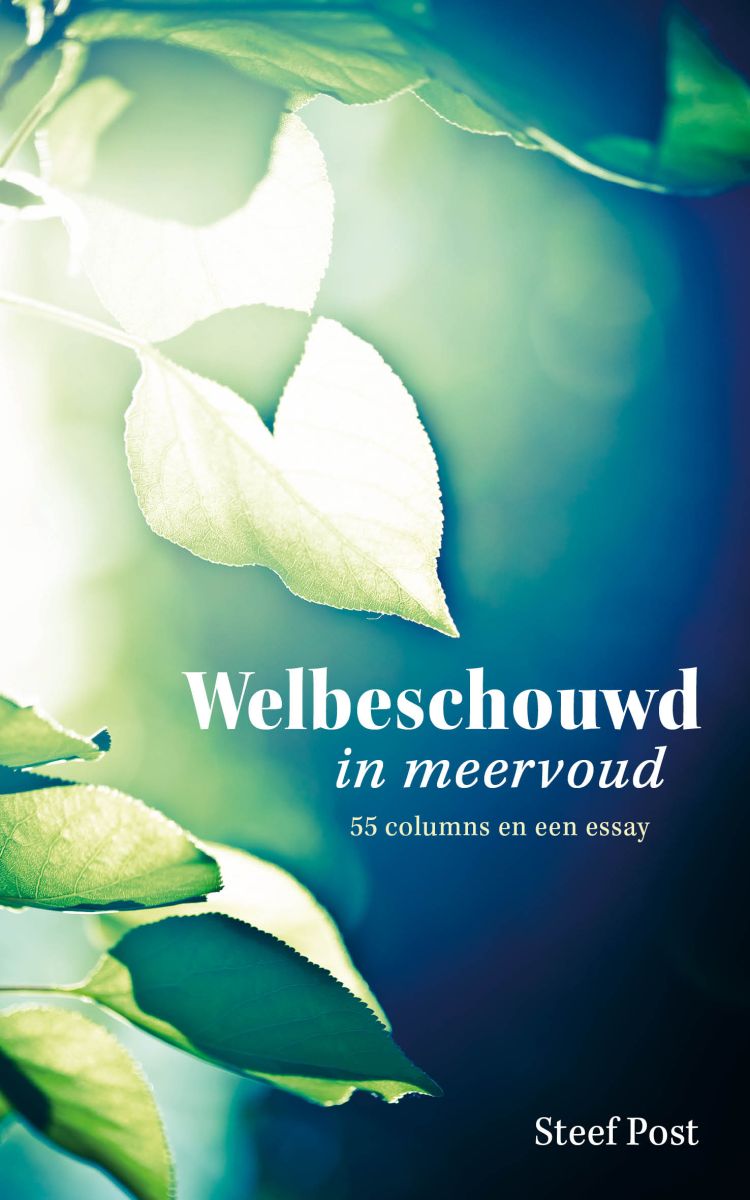 Welbeschouwd in meervoud